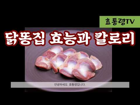 한약재로도 쓰이는 “닭똥집(닭근위)의 효능과 칼로리, 단백질 함유량”은? (기계음x)