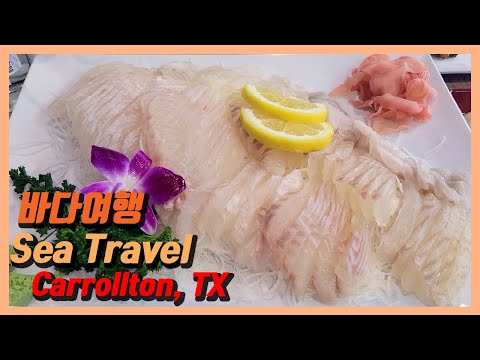텍사스에서 싱싱한 활어를 먹을 수 있는 곳! 바다여행! / The place where you could eat fresh sashimi in Texas! Sea Travel!