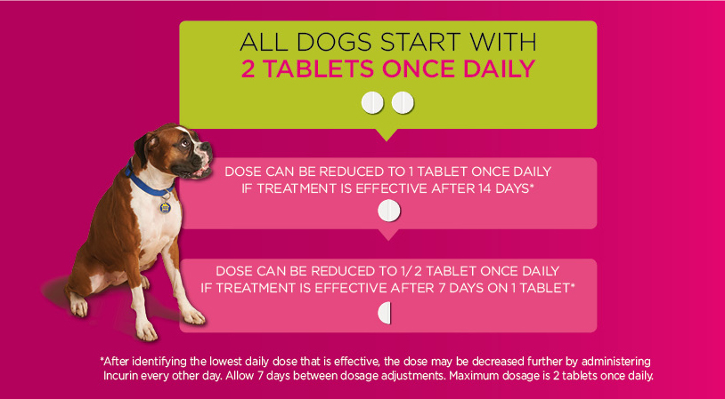 Incurin® Tablets | Merck Animal Health Usa