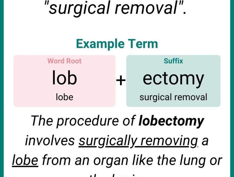 Ectomy -Ectomy - Master Medical Terms