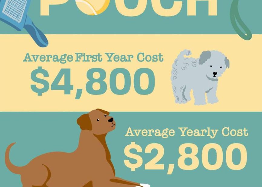 How Much Does A Puppy Really Cost?