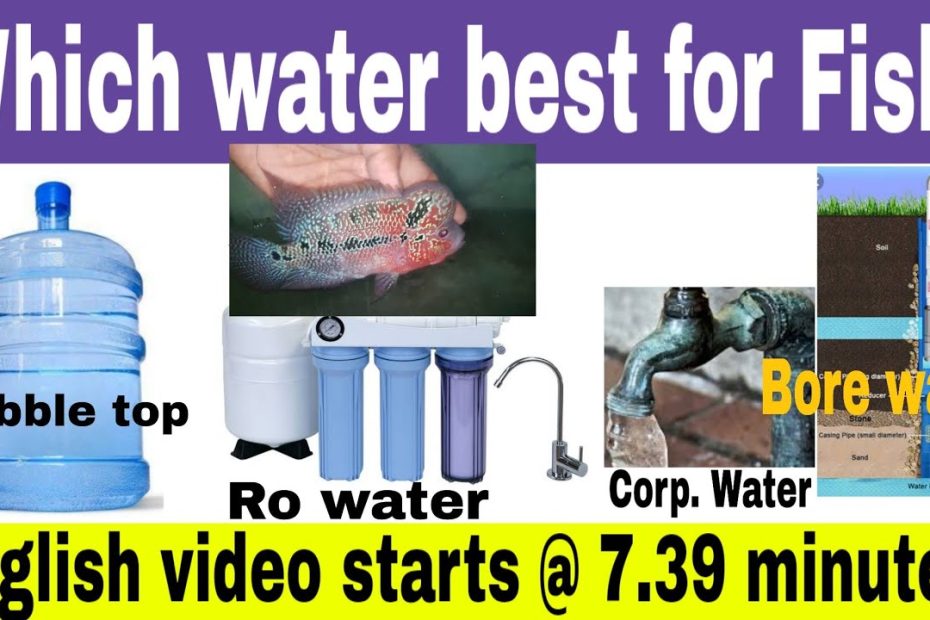 Best Water For Fish Tanks - Youtube