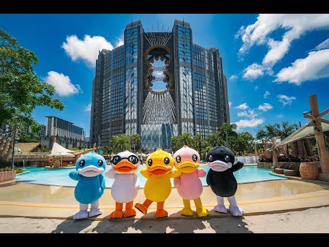 B.Duck x Studio City Macau 新濠影滙 B.Duck x Studio City Macau 新濠影滙